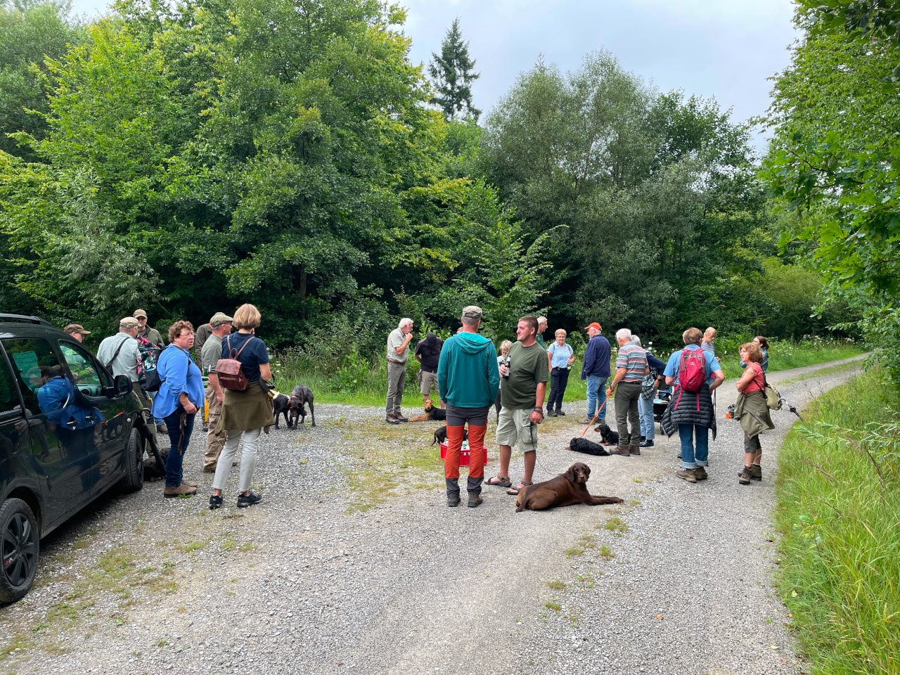 Hoernerklang am Wegesrand